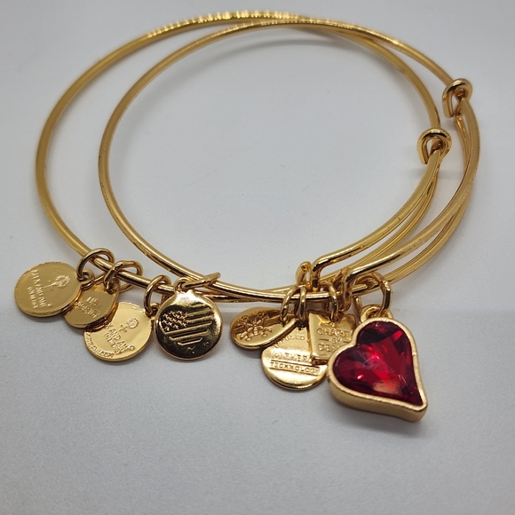 Alexa & Ani Gold Spacer & Heart Of Strentgh Bracelet - Picture 7 of 10
